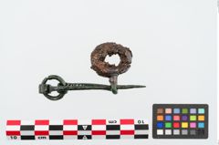 Foto von Bronzefibel (NHMW-PRAE-024996)
